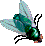 HORSE FLY